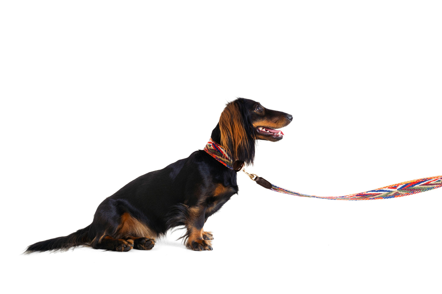 Dog leash Ananda rainbow