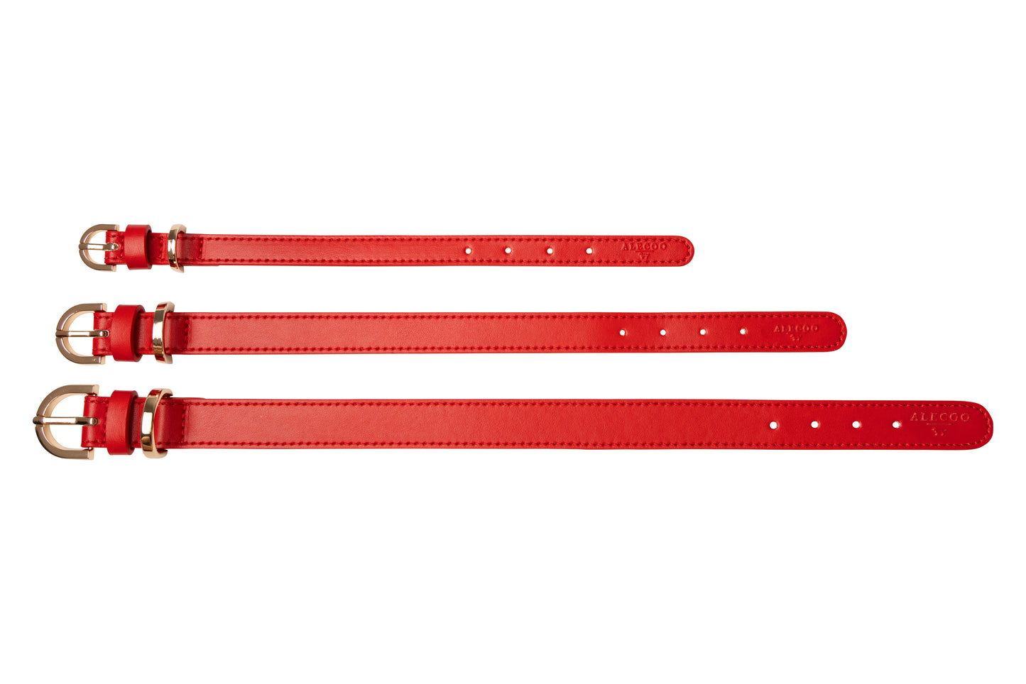 Hundehalsband Classy sunset - gold