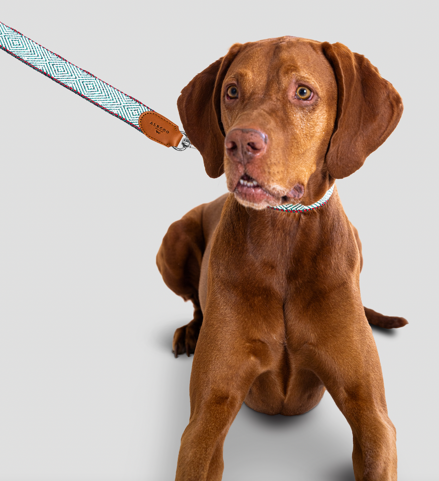 Dog leash Aponi green