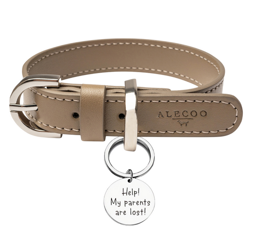 Anhänger Hundehalsband - Help