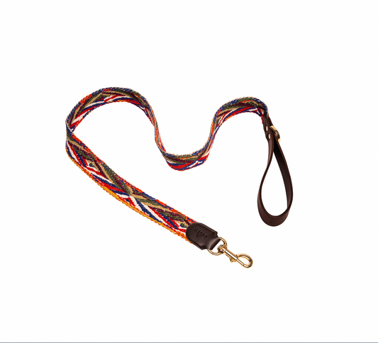 Hundeleine Ananda rainbow