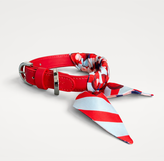 Dog Collar Twilly Valentine - baby blue
