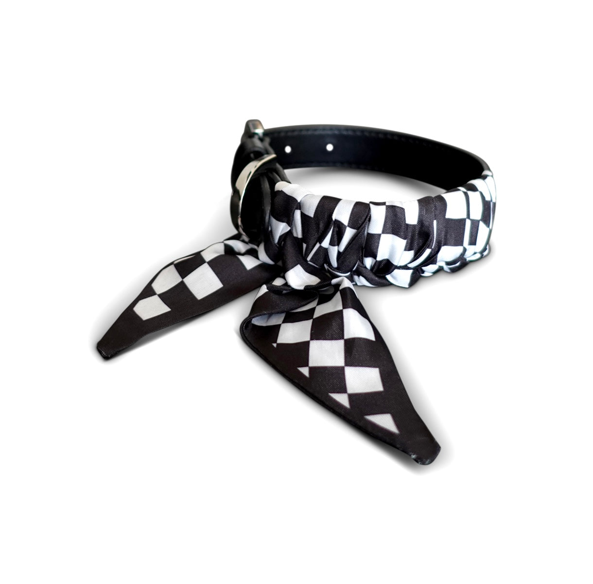 Dog collar Twilly Square - black