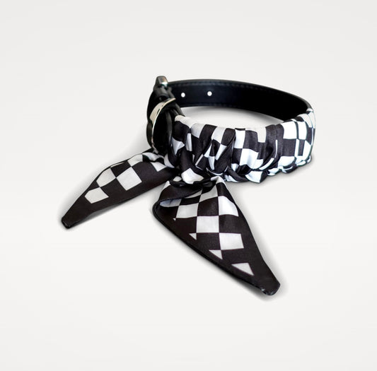 Dog collar Twilly Square - black