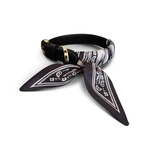 Hundehalsband Twilly Paisley - black