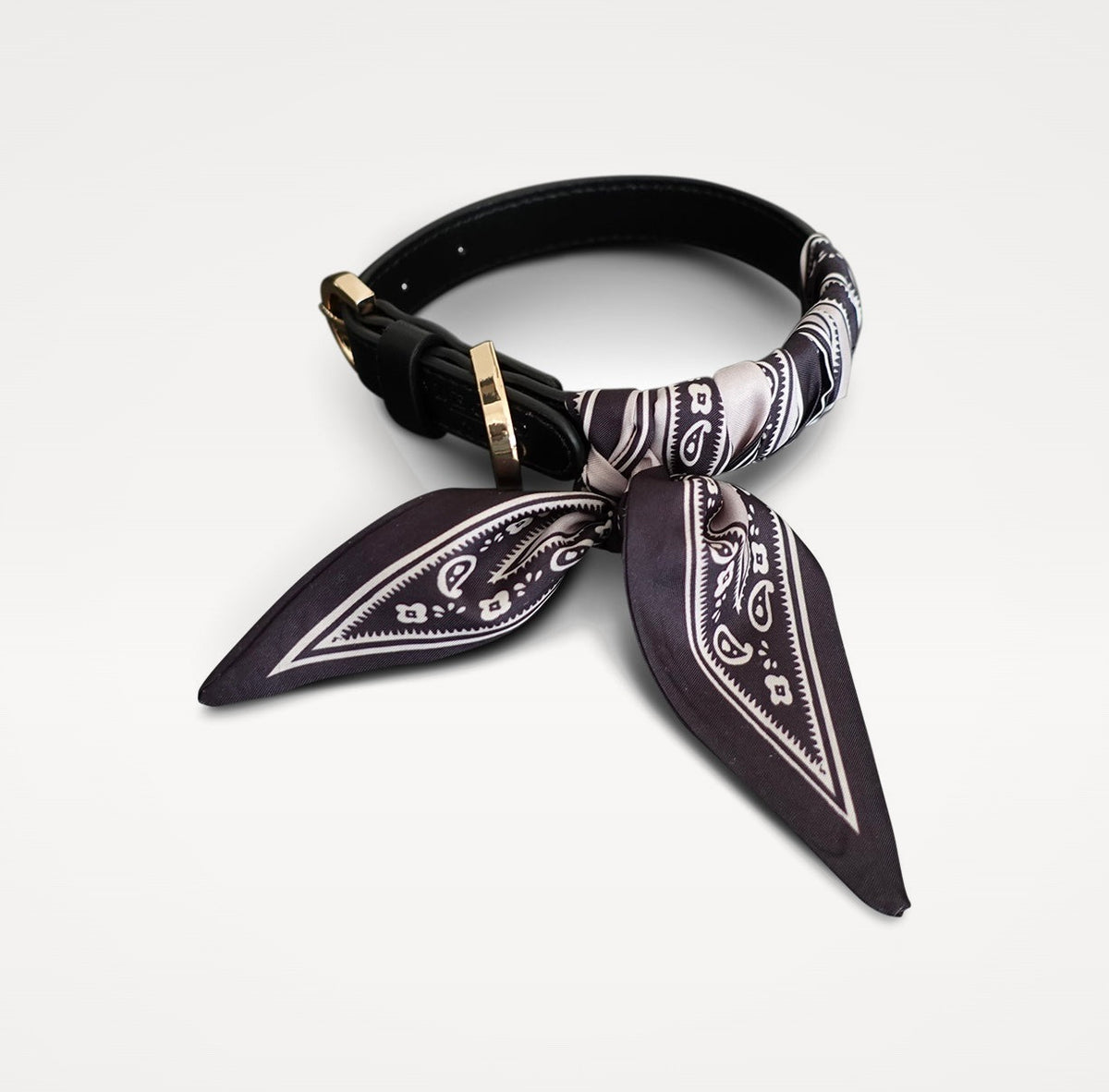 Dog collar Twilly Paisley - black