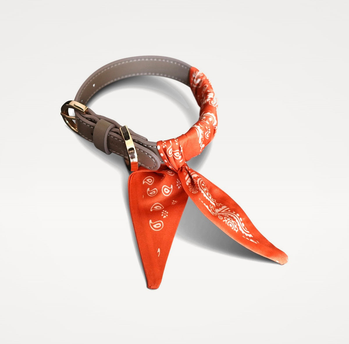 Dog collar Twilly Paisley - orange