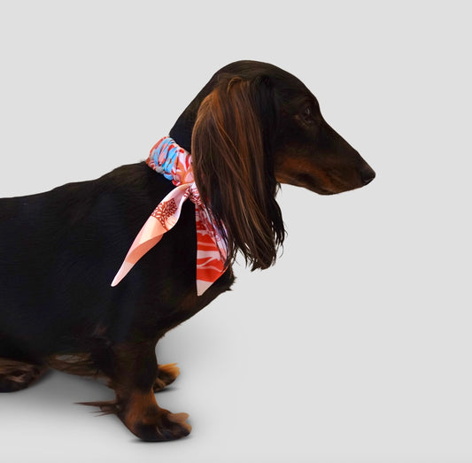 Dog collar Twilly Amber Phantasia