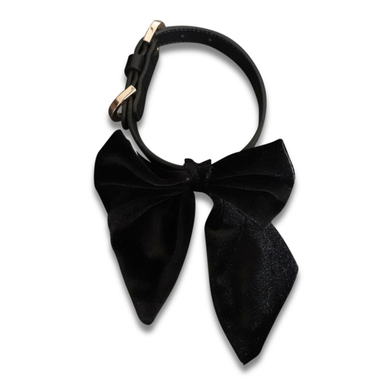 Hundehalsband velvet Bow -black