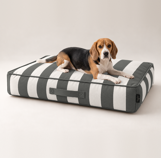 Beagle liegt auf der Hundematratze Stripes dark grey von ALECOO