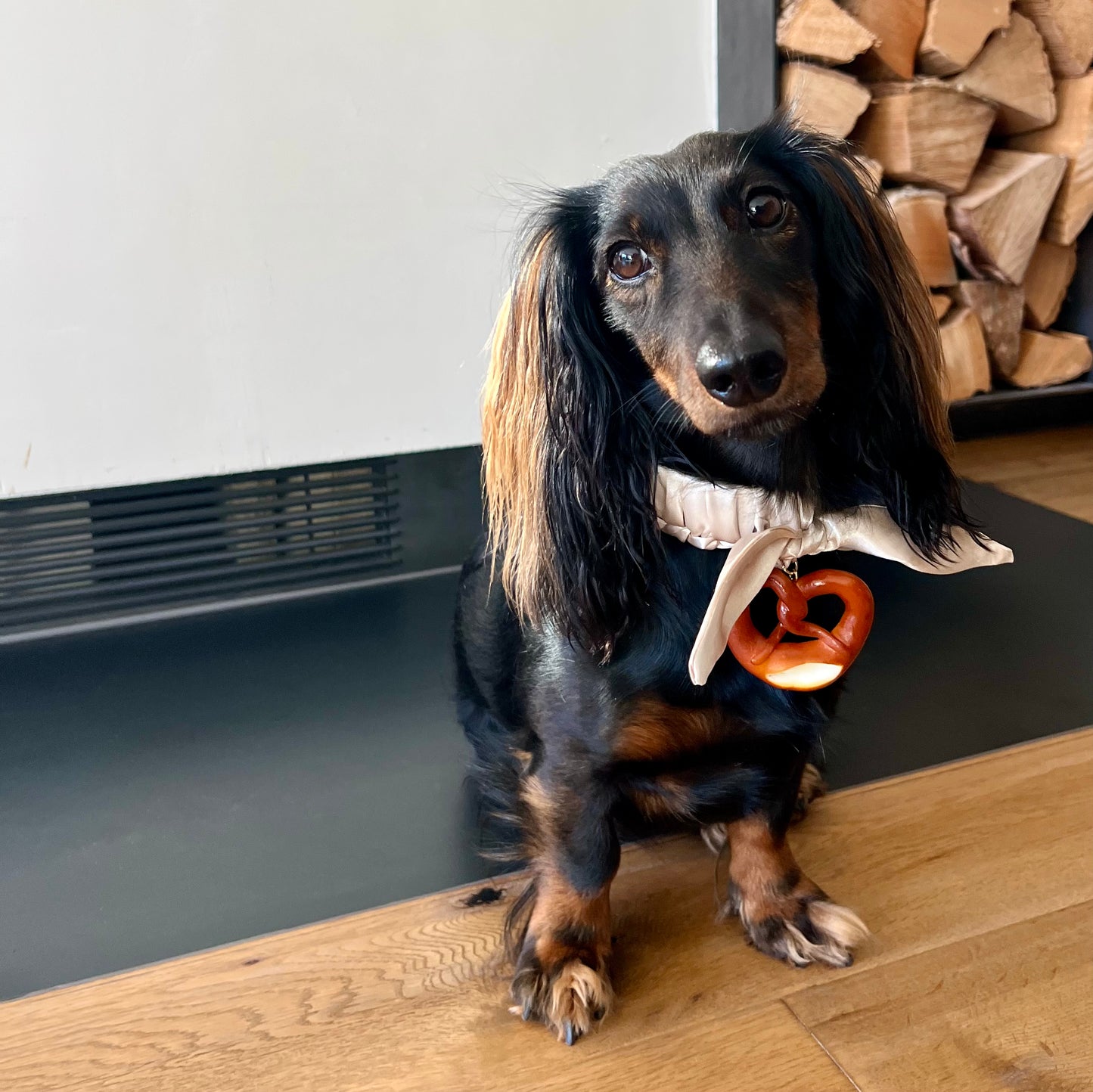 Hundehalsband Twilly Wiesn - Limited Edition