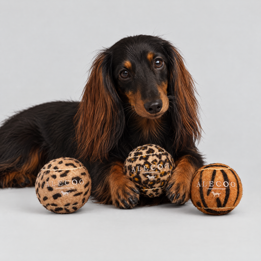 Hundespielball Set Animal Print von ALECOO mit Dackel