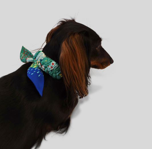 Dog collar Twilly Emerald Phantasia