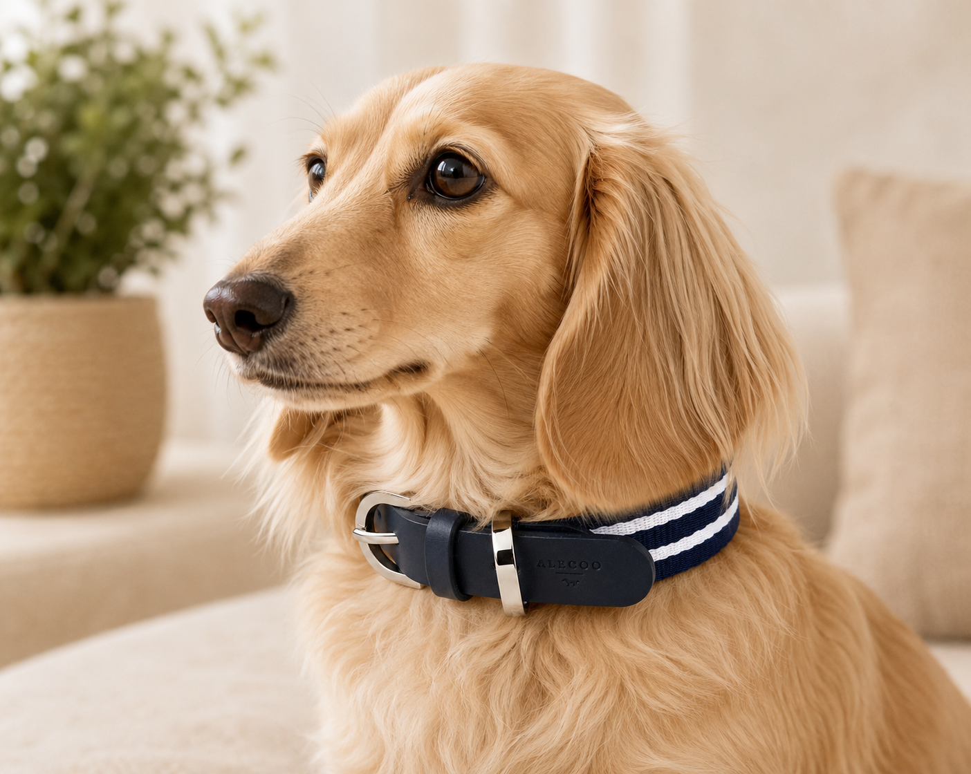 Hundehalsband STRIPES - navy