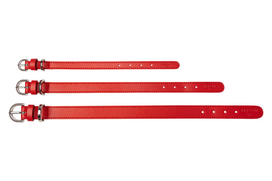Hundehalsband Classy red - silber