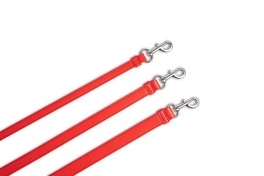 Hundeleine Classy red - silber