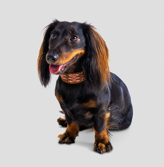 Hundehalsband Amal cognac