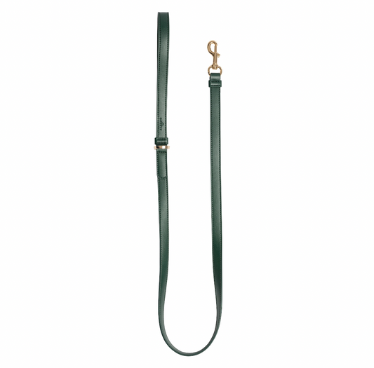 Hundeleine Classy dark green - gold