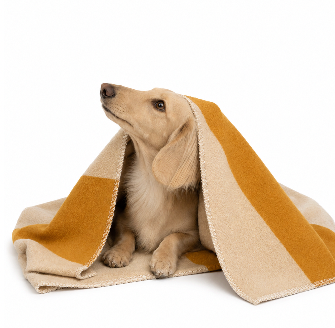 dog blanket AURELIA