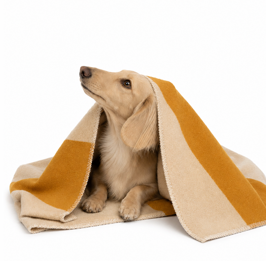 Hundedecke AURELIA