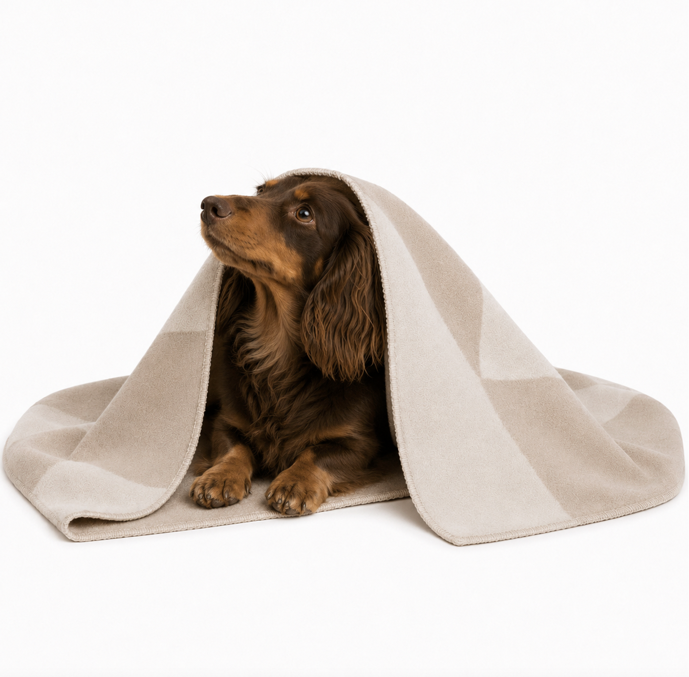 dog blanket DUNE