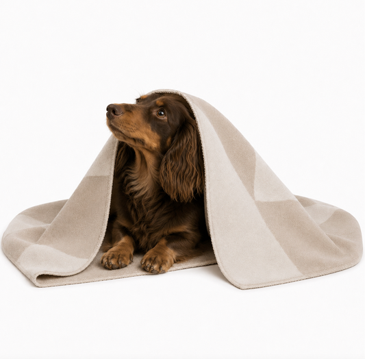 Dog Blanket DUNE