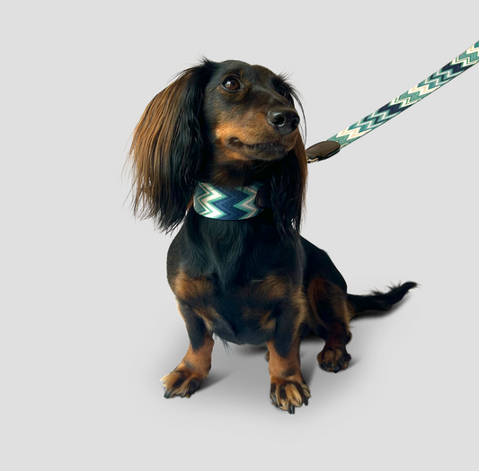 Chevron Azure dog collar
