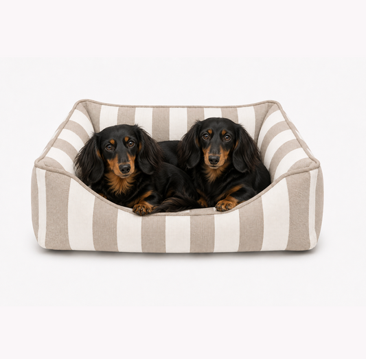 Hundebett Stripes - taupe