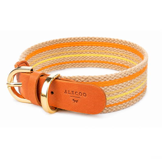 Hundehalsband CANVAS - sol