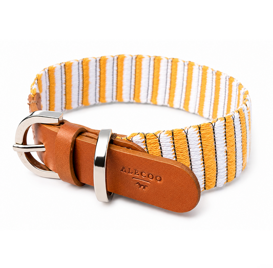 Hundehalsband STRIPES - yellow