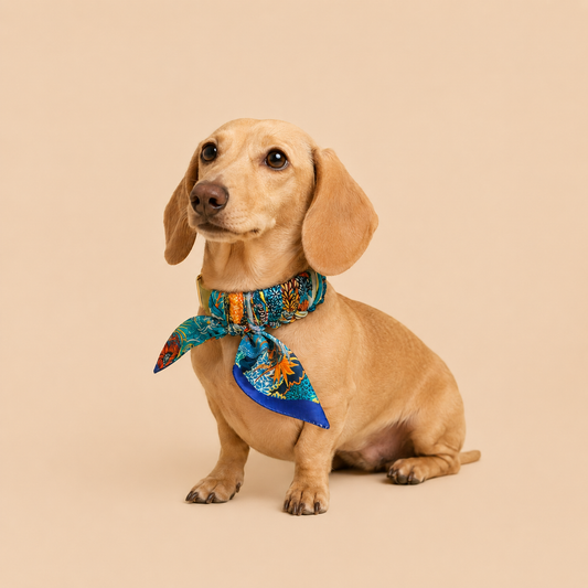 Dog collar Twilly Portofino
