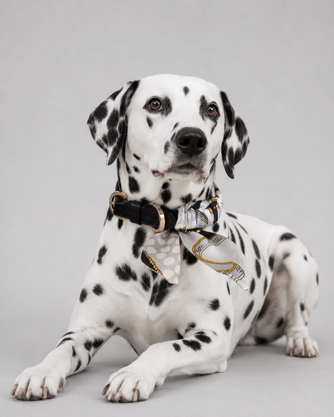 Hundehalsband Twilly Classy - black