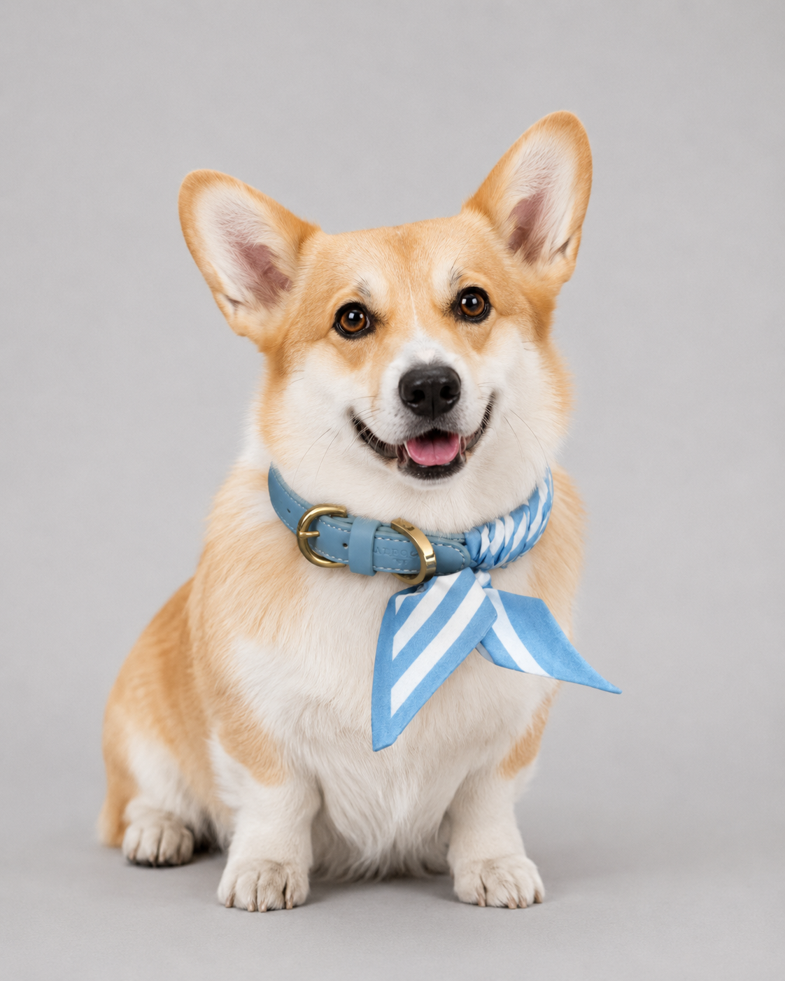 Hundehalsband Twilly Stripes - light blue
