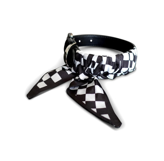 Hundehalsband Twilly Square - black