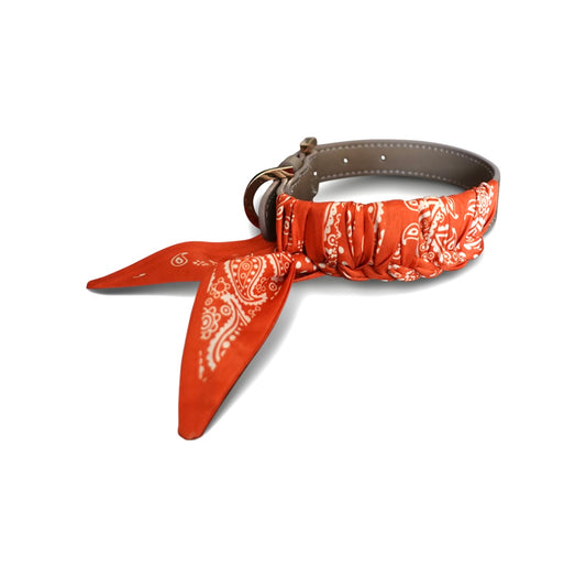 Hundehalsband Twilly Paisley - orange