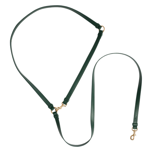 Dog leash Classy dark green - gold