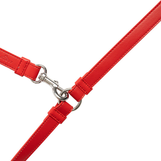 Hundeleine Classy red - silber
