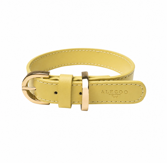 Hundehalsband Classy Butter yellow - gold