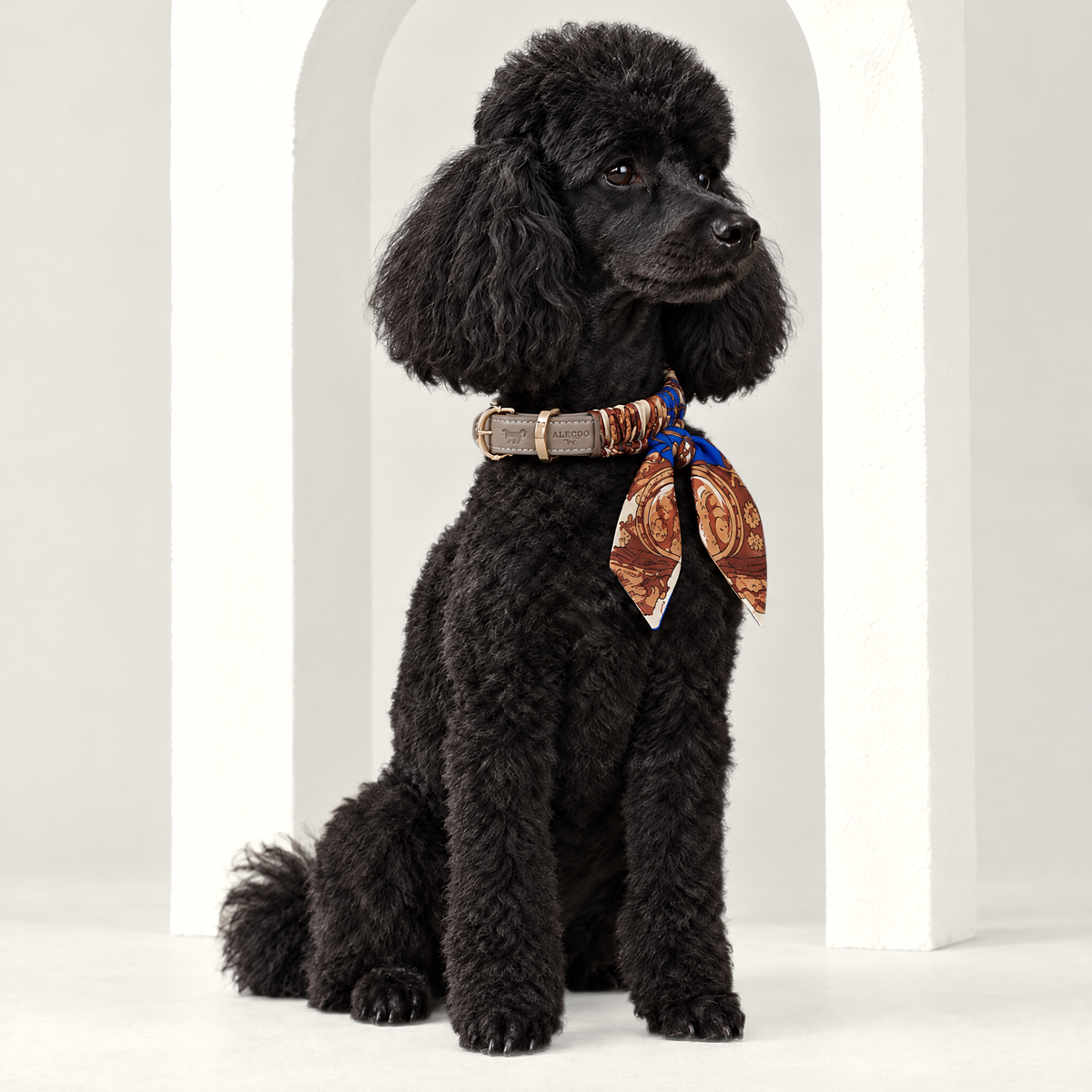 Twilly-Halsband Classy taupe am Hund
