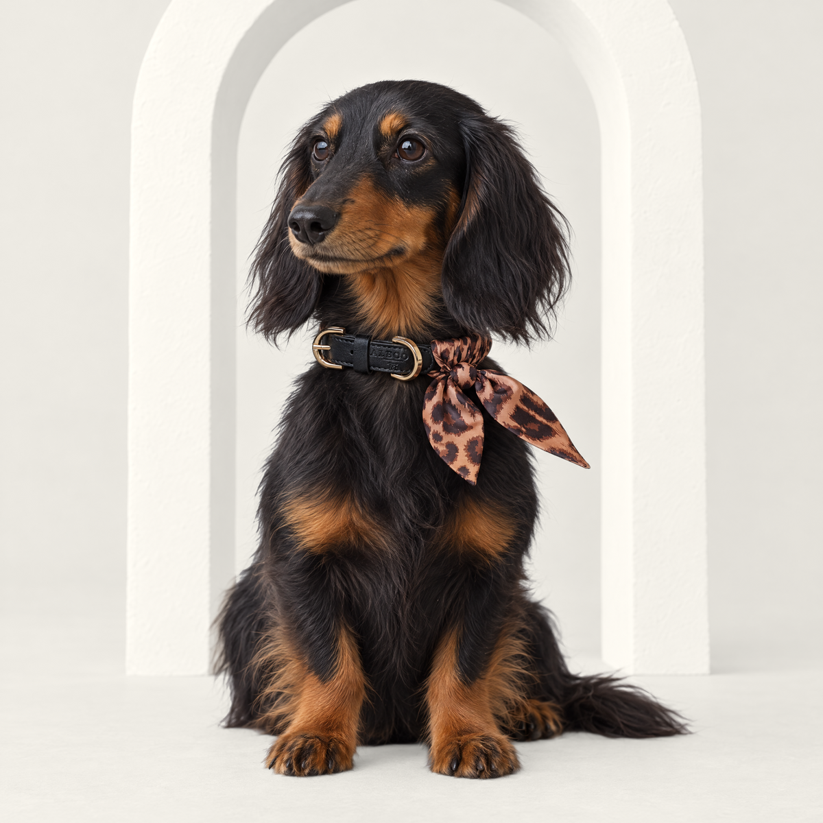 Twilly-Halsband Leo am Hund