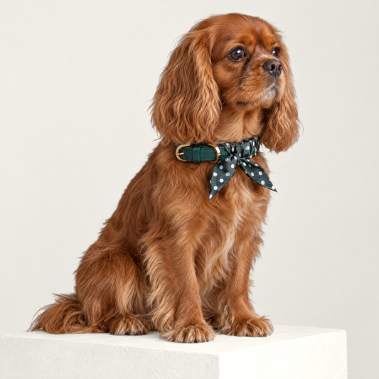 Twilly-Halsband Polka Dots dunkelgrün am Hund