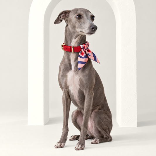 Twilly-Halsband Valentine rosé am Hund