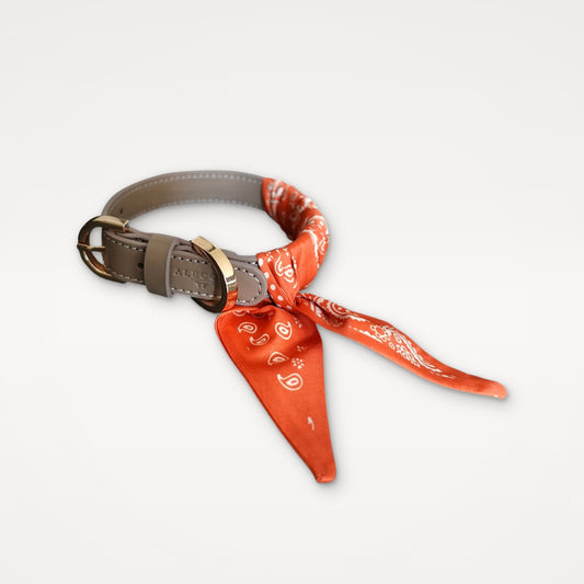 TWILLY Halsband Paisley orange
