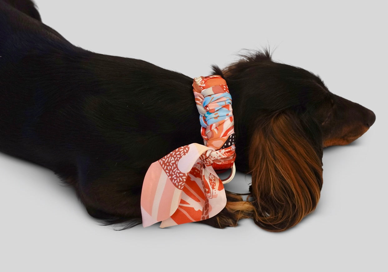Hundehalsband Twilly Amber Phantasia