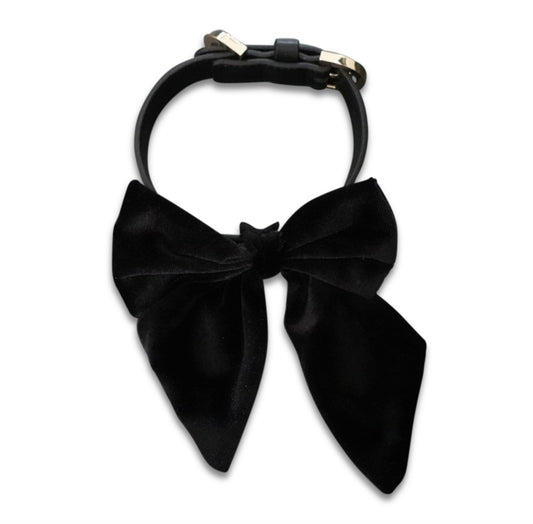 Hundehalsband velvet Bow -black