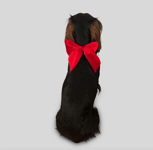 Hundehalsband velvet Bow - red