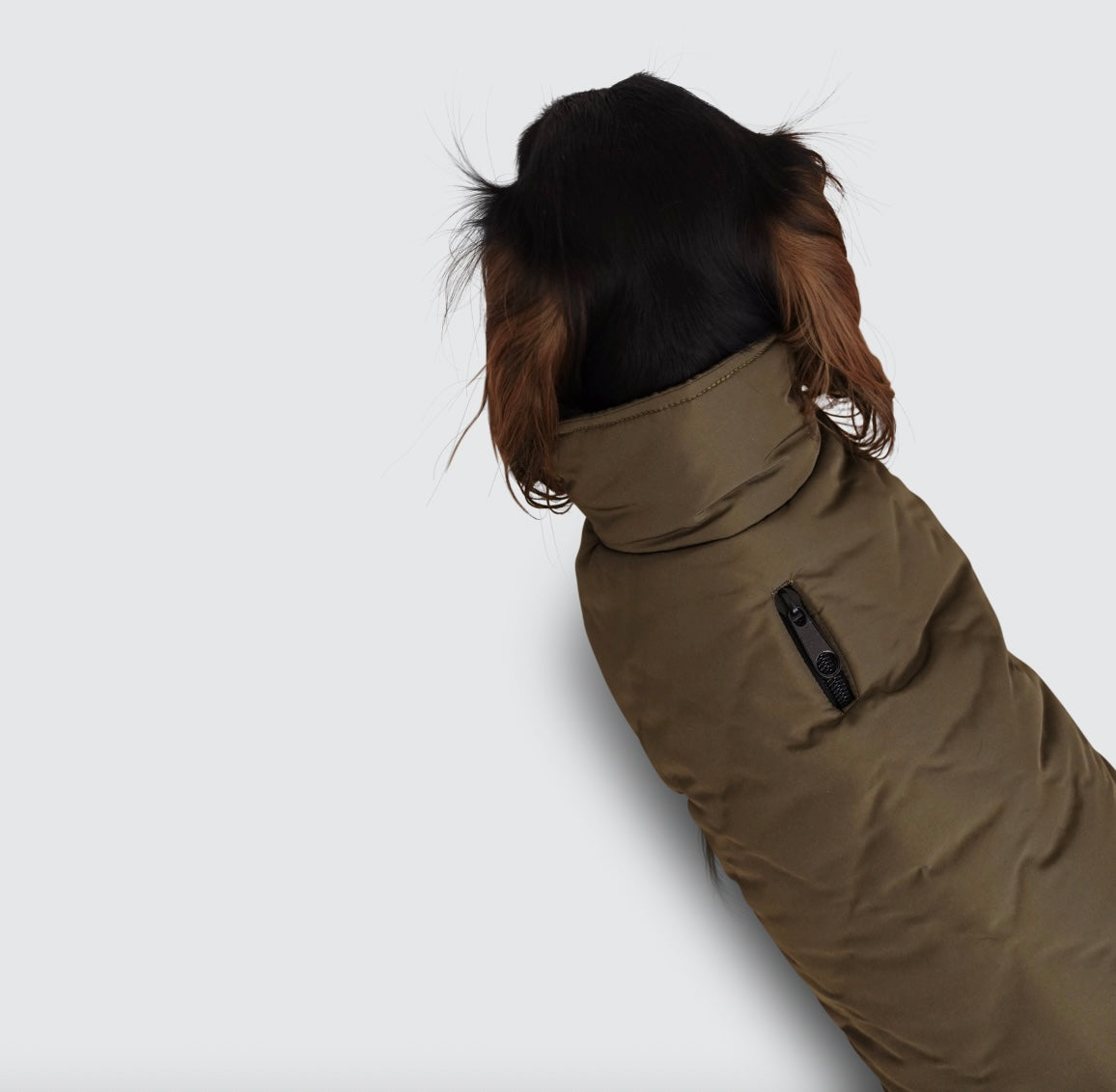 Dackel Hundemantel Cortina - olive