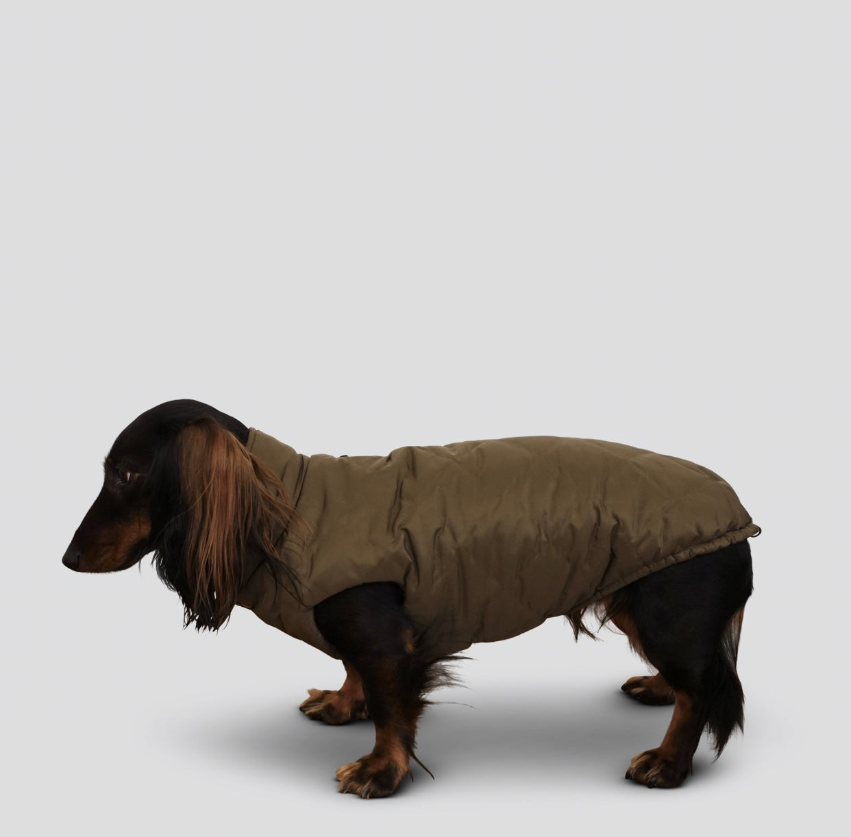 Dackel Hundemantel Cortina - olive