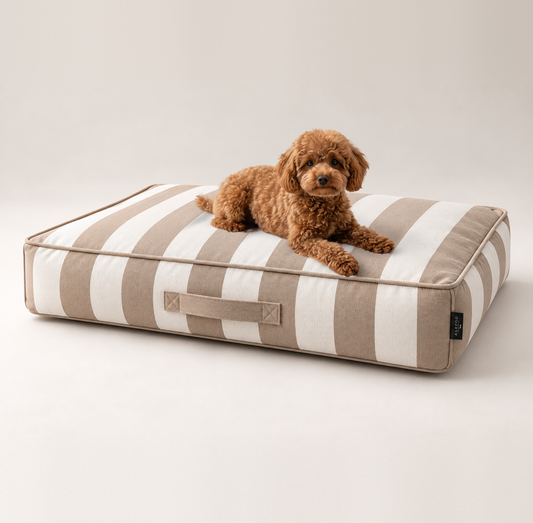 Cognac poodle lying on the dog mattress Stripes taupe by ALECOO