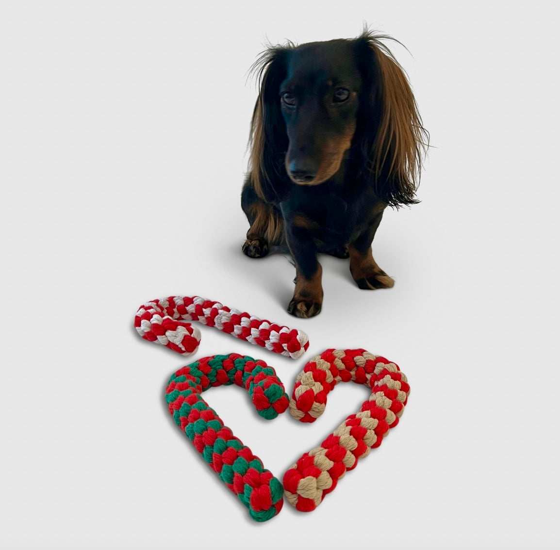 Hundespielzeug Zuckerstangen-Set